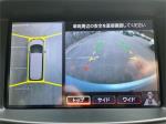 2010 Nissan Elgrand Wagon Highway Star Premium PE52